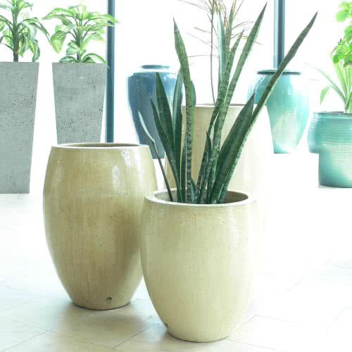Enhance Your Garden with Stylish Glazed Ceramic Pots from Pots Wholesale Direct