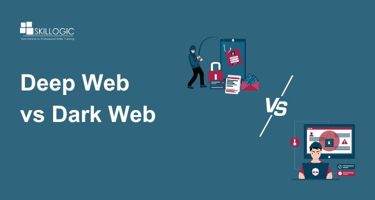 Understanding Dark Web Fraud Networks: A Guide for Cybersecurity Awareness
